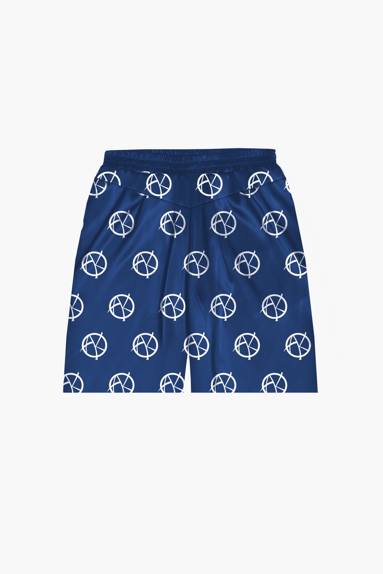 ANARCHY PANEL SHORTS flat lay back view in blue