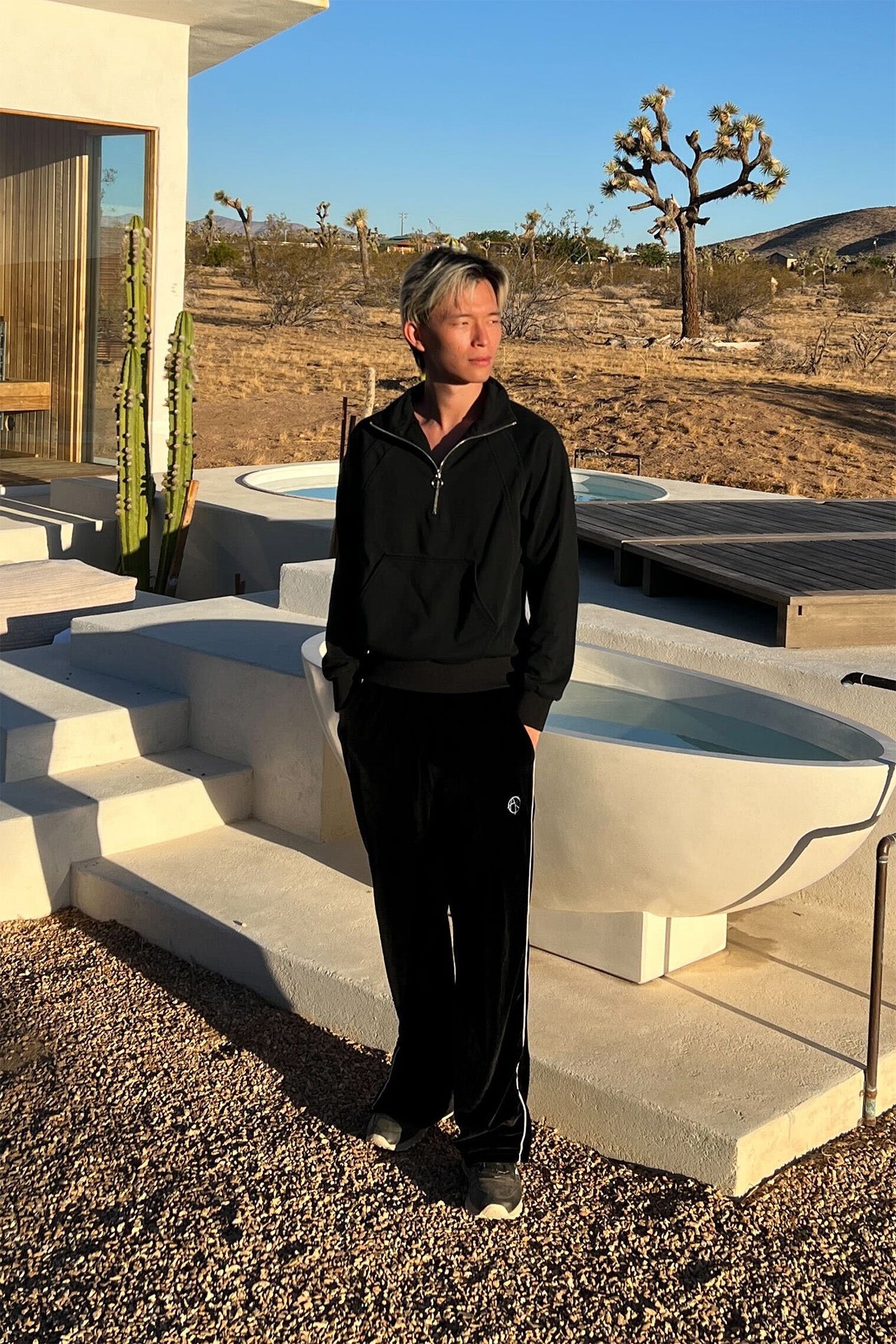 model in dessert 