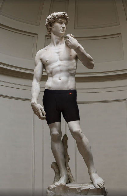 Premium Merino Wool Boxer Briefs x HAPPY BANANA in a statue