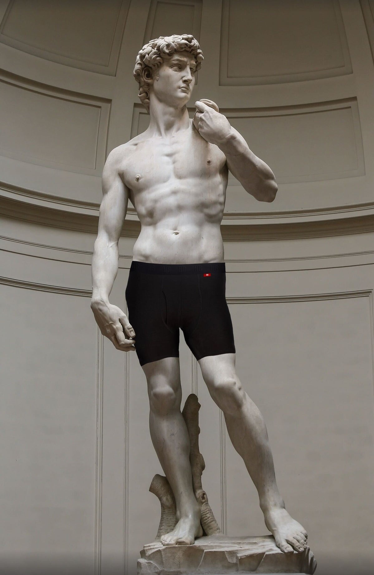 Premium Merino Wool Boxer Briefs x HAPPY BANANA in a statue