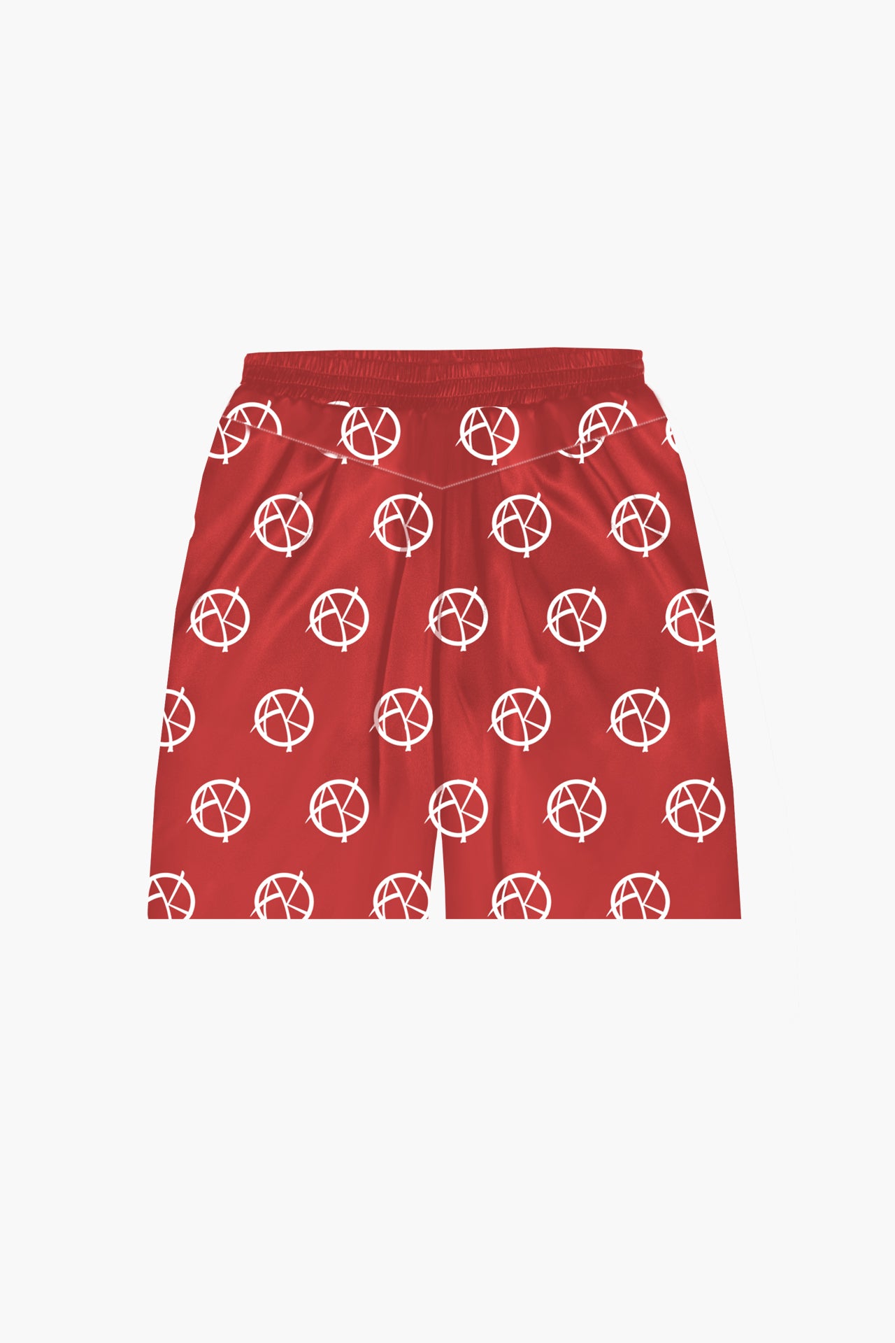 ANARCHY PANEL SHORTS flat lay back view
